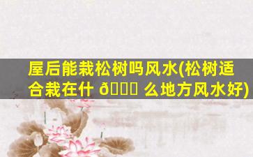 屋后能栽松树吗风水(松树适合栽在什 🐞 么地方风水好)